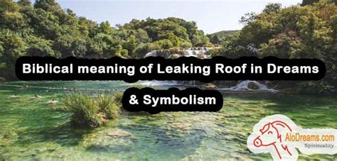 biblical dream meaning leaking roof|Biblical Dream Meaning of Leaking Roof; What Does。